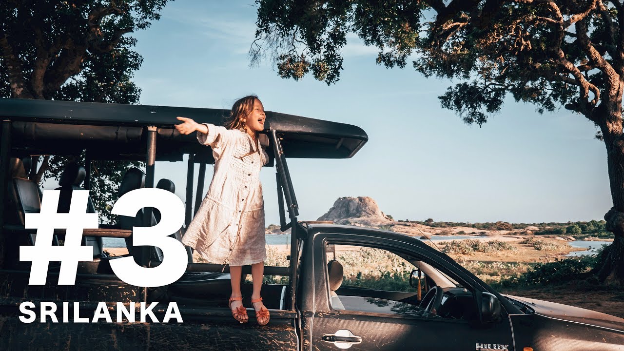 #3 Как ВЫЖИТЬ на сафари и увидеть все! Шри-Ланка с детьми. 4K