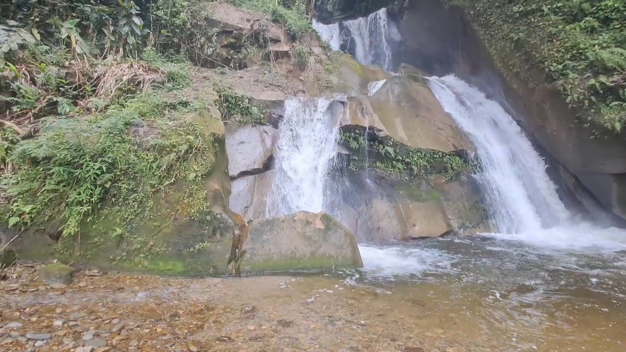 TAMAN EDEN 100‼️TEMPAT TERBAIK MENIKMATI SUASANA HUTAN HUJAN SUMATERA