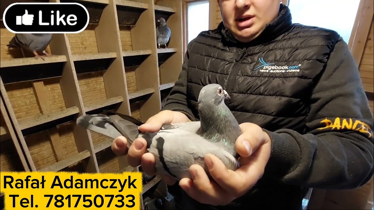  🎬 🎥 Adamczyk R-K 0151 Rydułtowy. Młodzi śląscy Mistrzowie Okręgu kat M i GMP Młode 2025