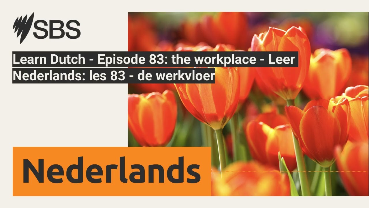 Learn Dutch - Episode 83: the workplace - Leer Nederlands: les 83 - de werkvloer | SBS Dutch -...