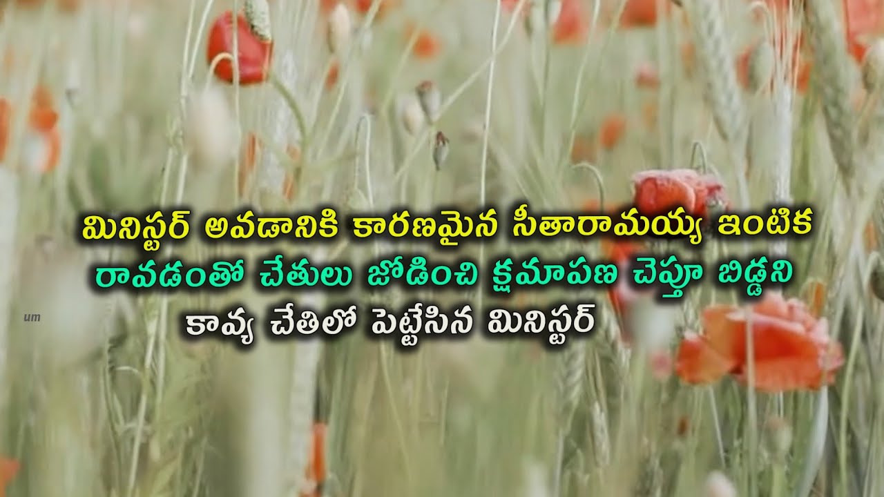 #Brahmamudi serial review   సీతారామయ్య రావడంతో బిడ్డని కావ్యకి అప్పచెప్పిన మినిస్టర్