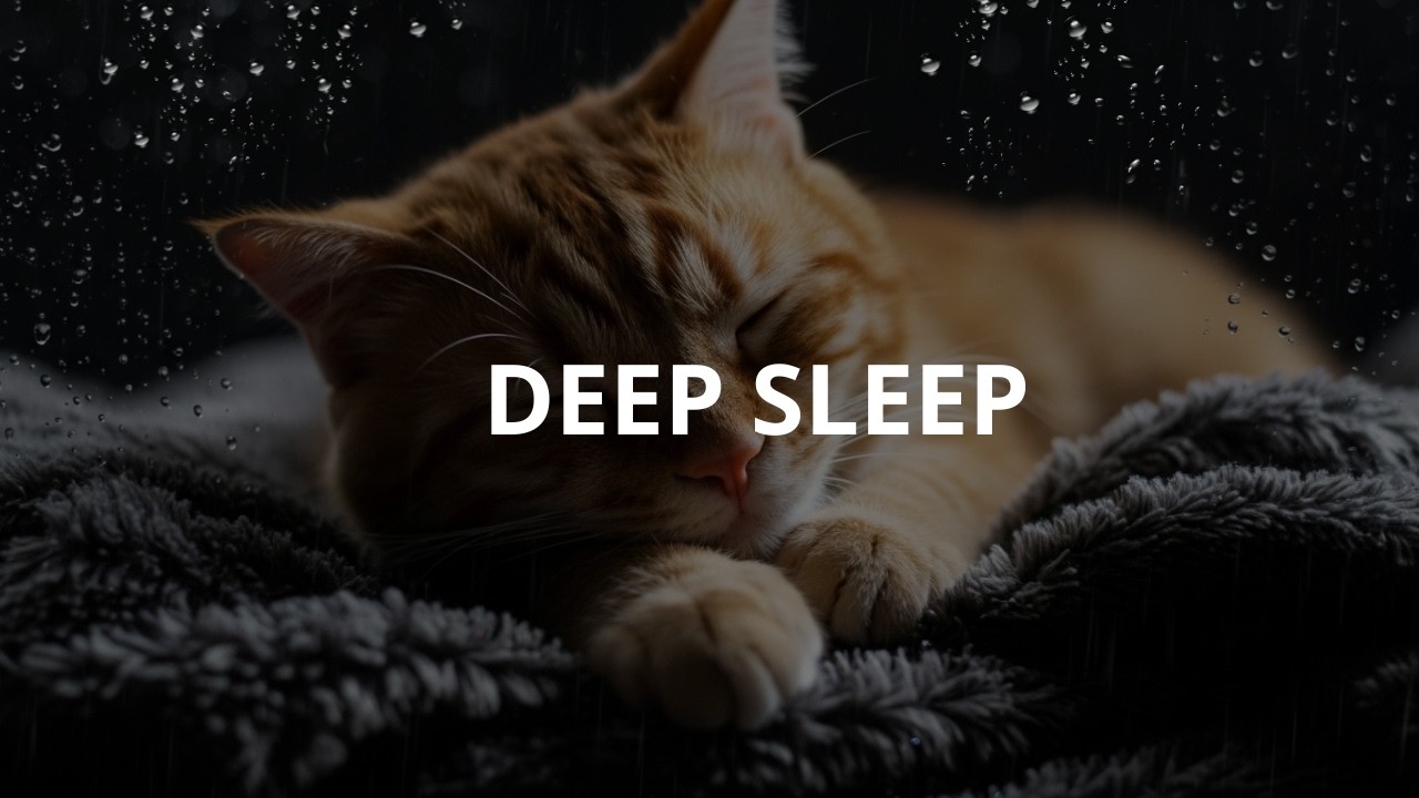 Can’t Sleep? 2 Hours Steady Rain (No Storm)