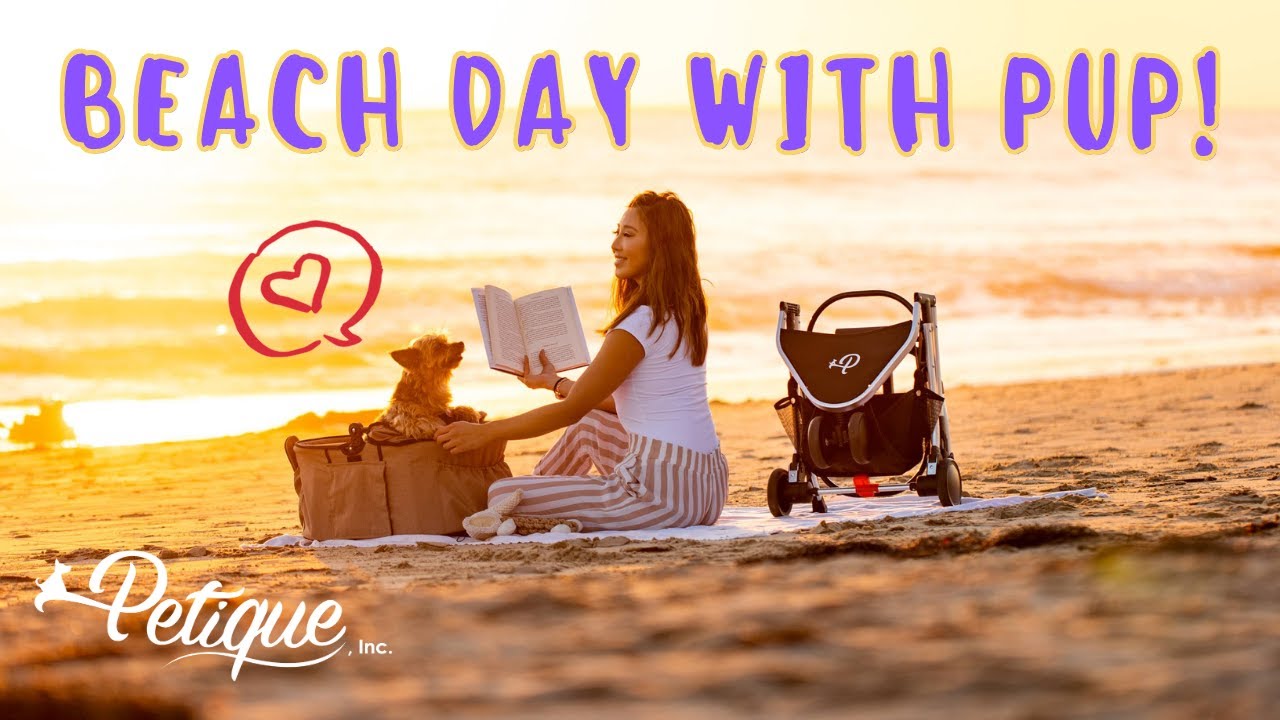 Incredible 3-in-1 Newport Pet Stroller by Petique