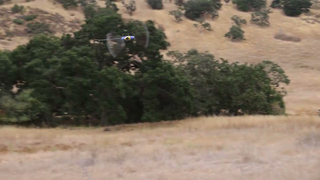 XLpower Nimbus 550 - Rotorflight 2