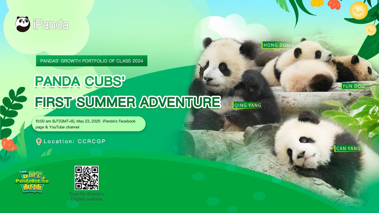 Broadcast: Panda Cubs' First Summer Adventure  | iPanda