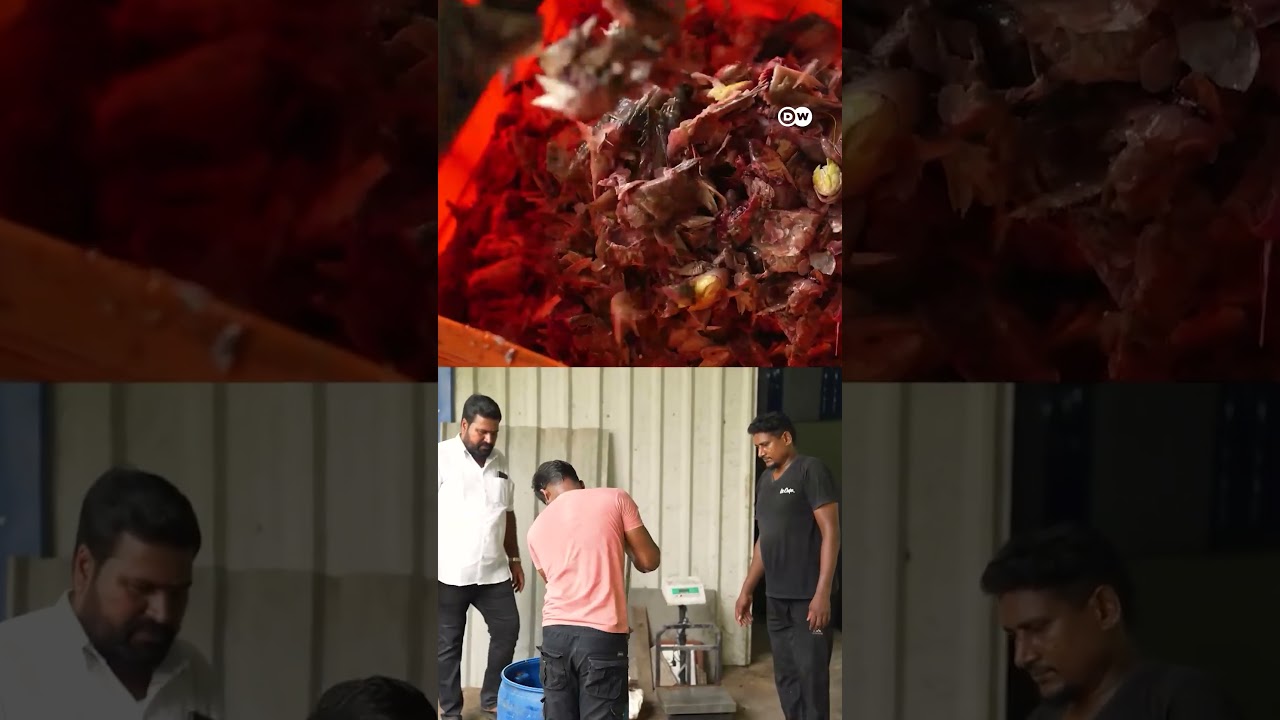 मछलियों के कचरे से बनाई जा रही है खाद [fertilizer is made from fish waste]