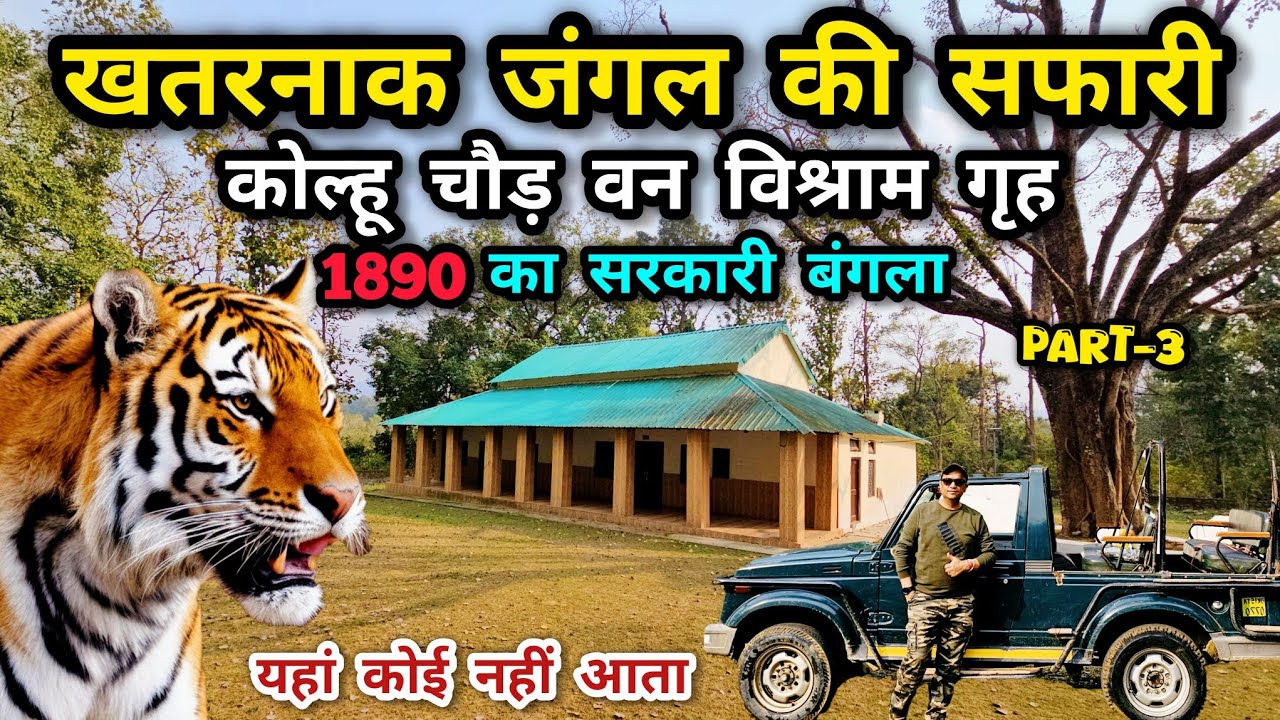 Uttarakhand's Untouched Wilderness | Koluchaur Jungle Safari | Koluchaur Forest Rest House | Kotdwar