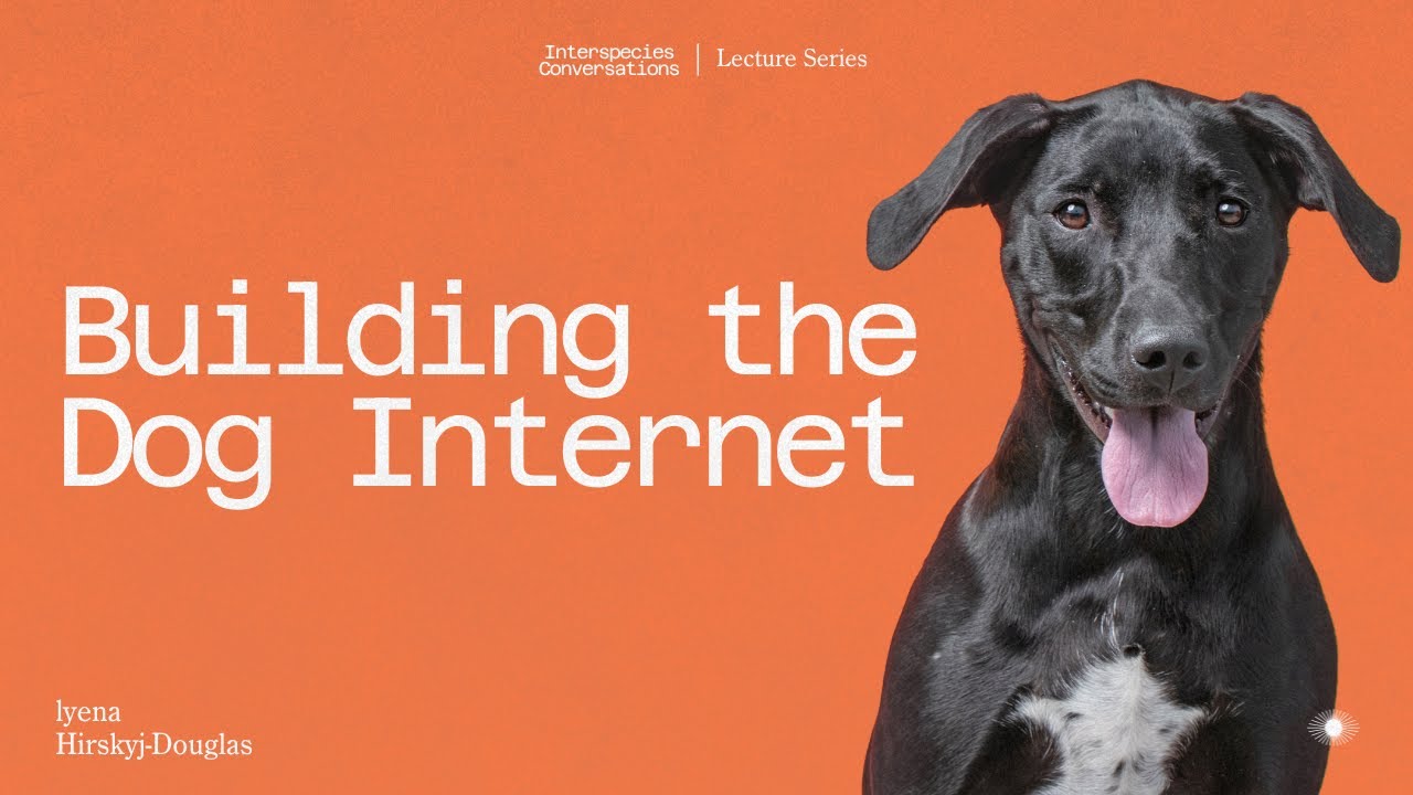 Ilyena Hirskyj-Douglas, Building the Dog Internet