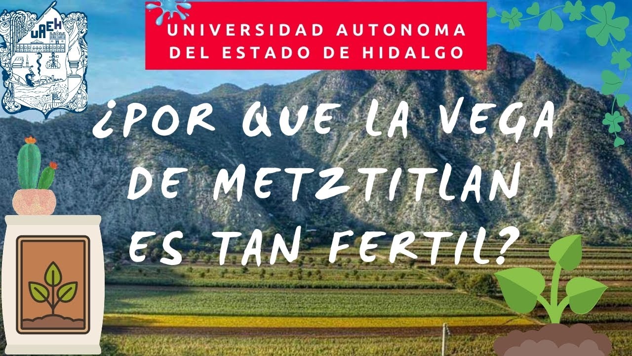 Documental: 