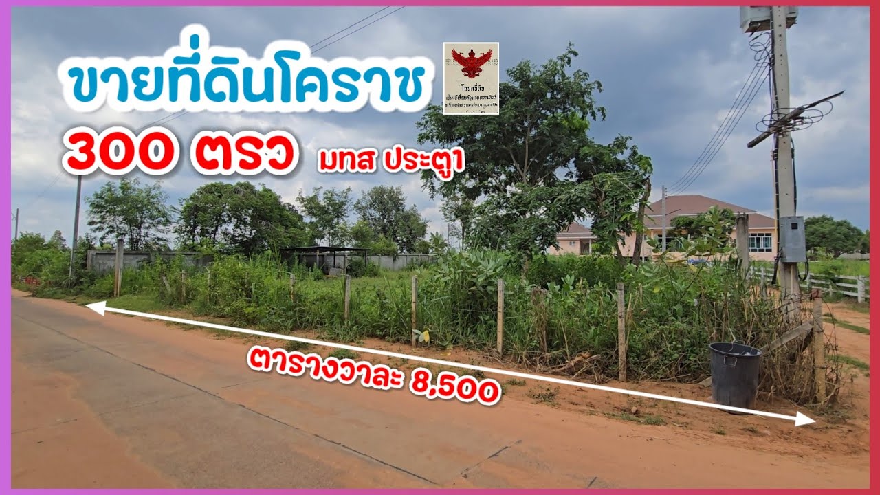 มาดามโอ๋ | ขายที่ดินโคราช 300 ตรว อยู่มทส ประตู1 ติดถนนคอนกรีต ใกล้ แอร์เพลนพาร์ค