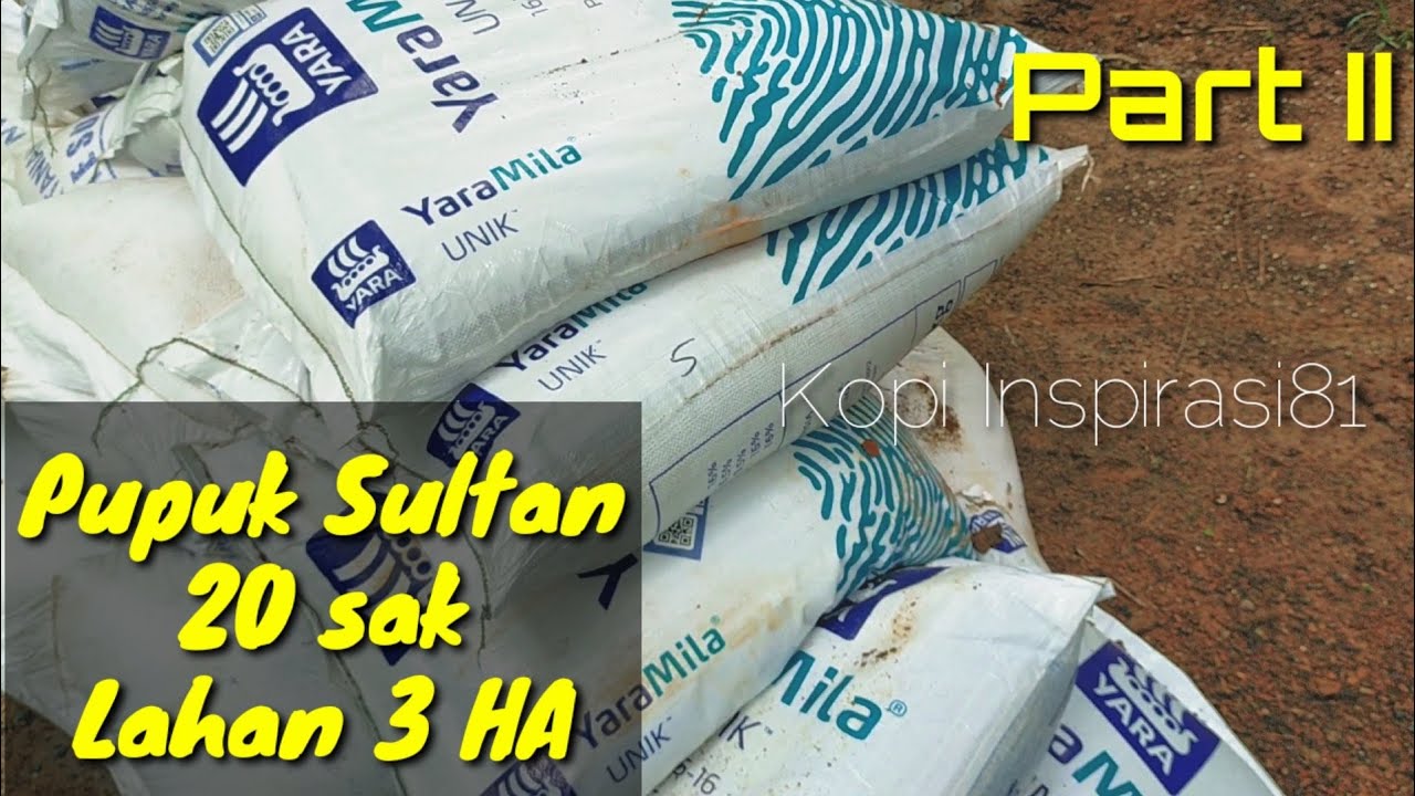 Part II. Pemupukan kelapa sawit menggunakan NPK Yaramila 16-16-16@kopiinspirasi8193
