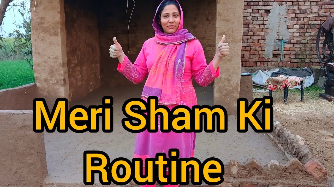 Meri Aj Sham ki Routine || Pendu Family || Daily Vlogs || 