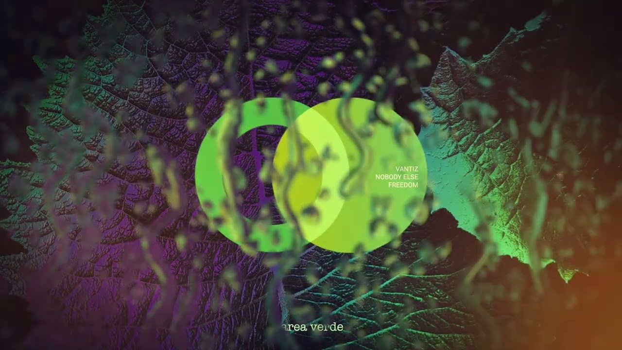 VANTIZ - Freedom (Original Mix) // Area Verde