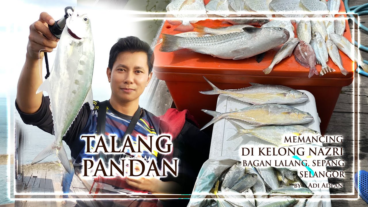 MEMANCING TALANG DI KELONG NAZRI BAGAN LALANG SEPANG SELANGOR BAHAGIAN 1