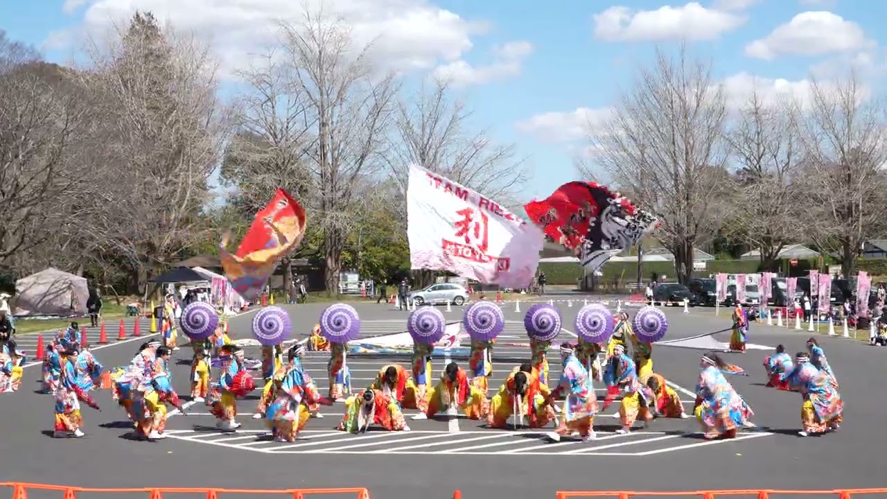 チーム☆利ゑ蔵 / SAKURAよさこい奏蘭 / 2026-03-15