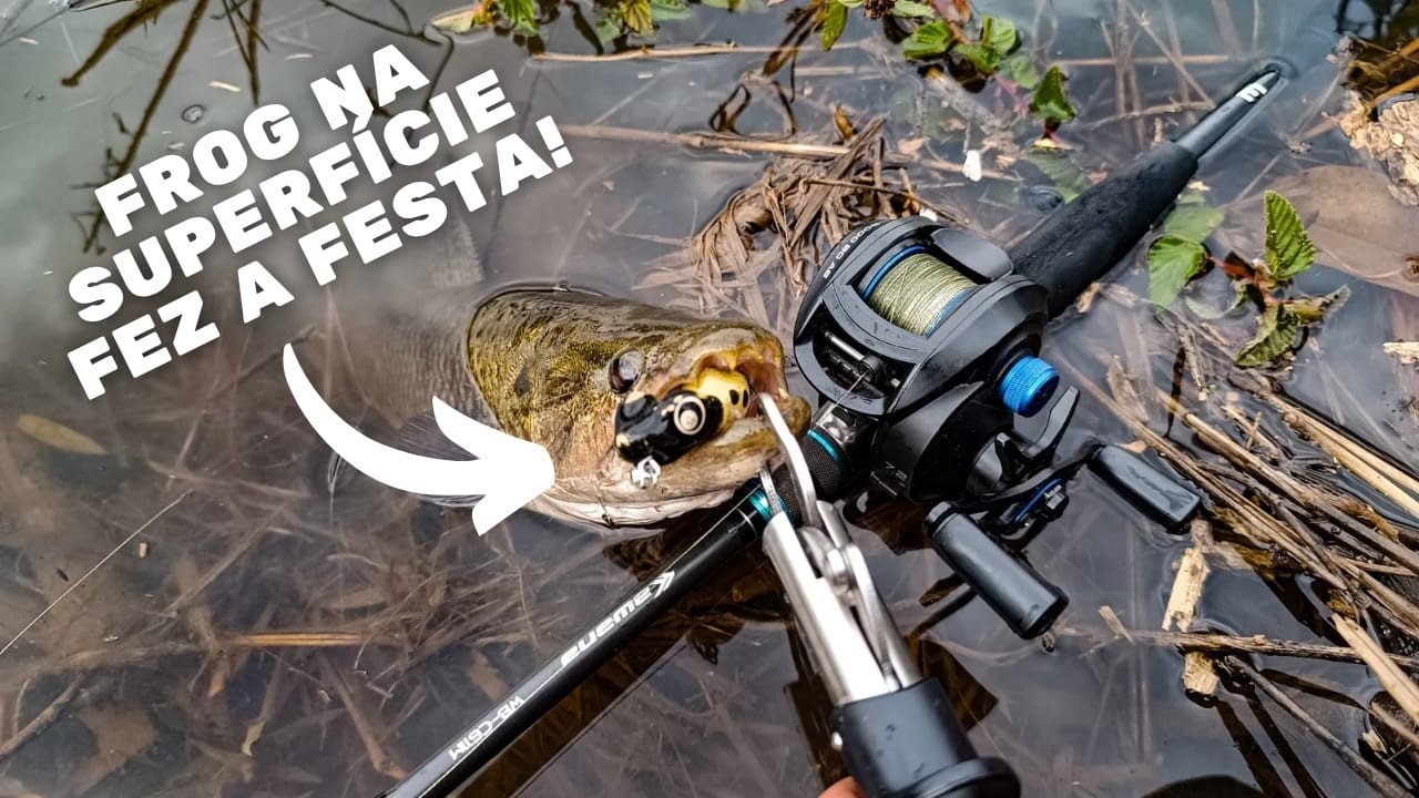 TRISTE DE VER ISSO... PESCA DE TRAIRA COM SAPINHO NA SUPERFICIE!