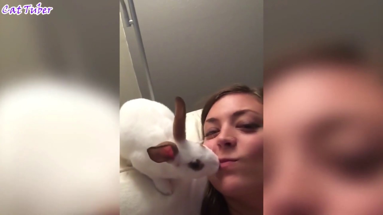 Best Fails Compilation January 2019 ! MUST WATCH