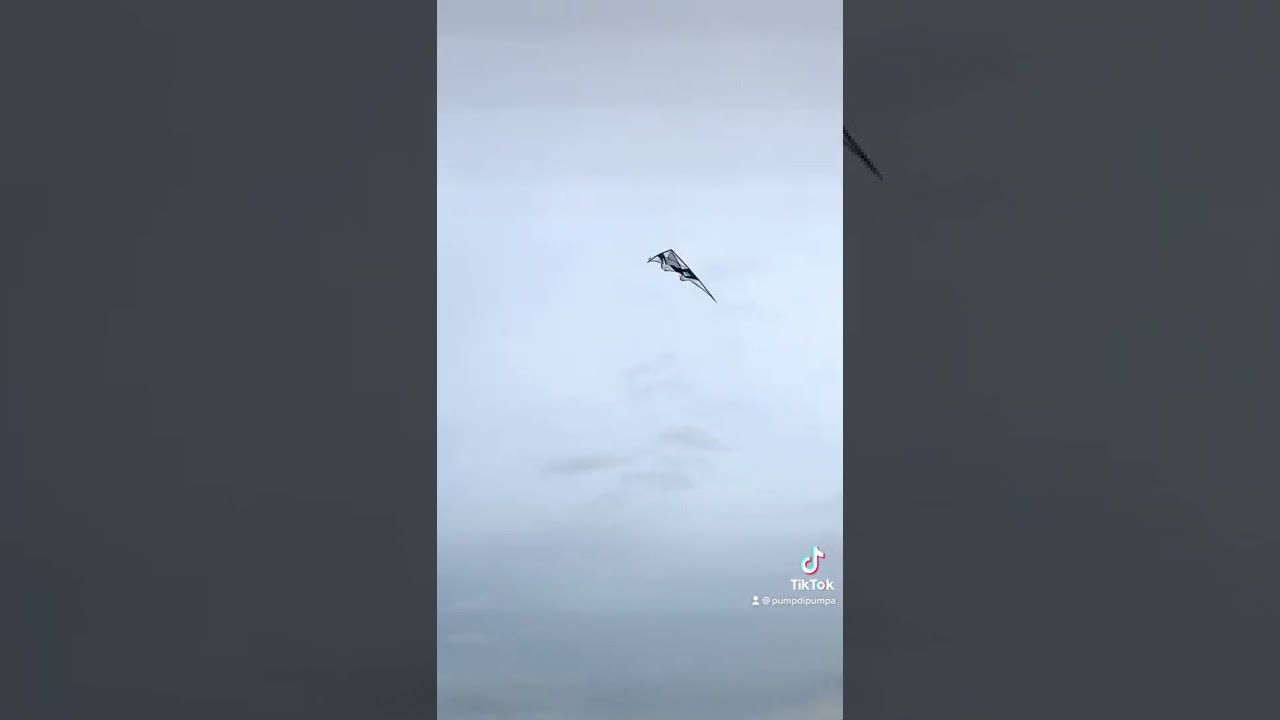 Blinded by the kite