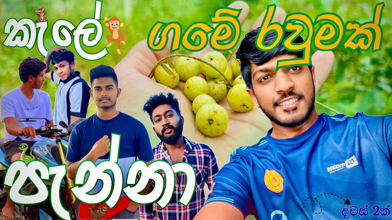 කැලේ පැන්නා🌳| ගමේ රවුමක්💚 (Vlog - 75) @suduputha2552