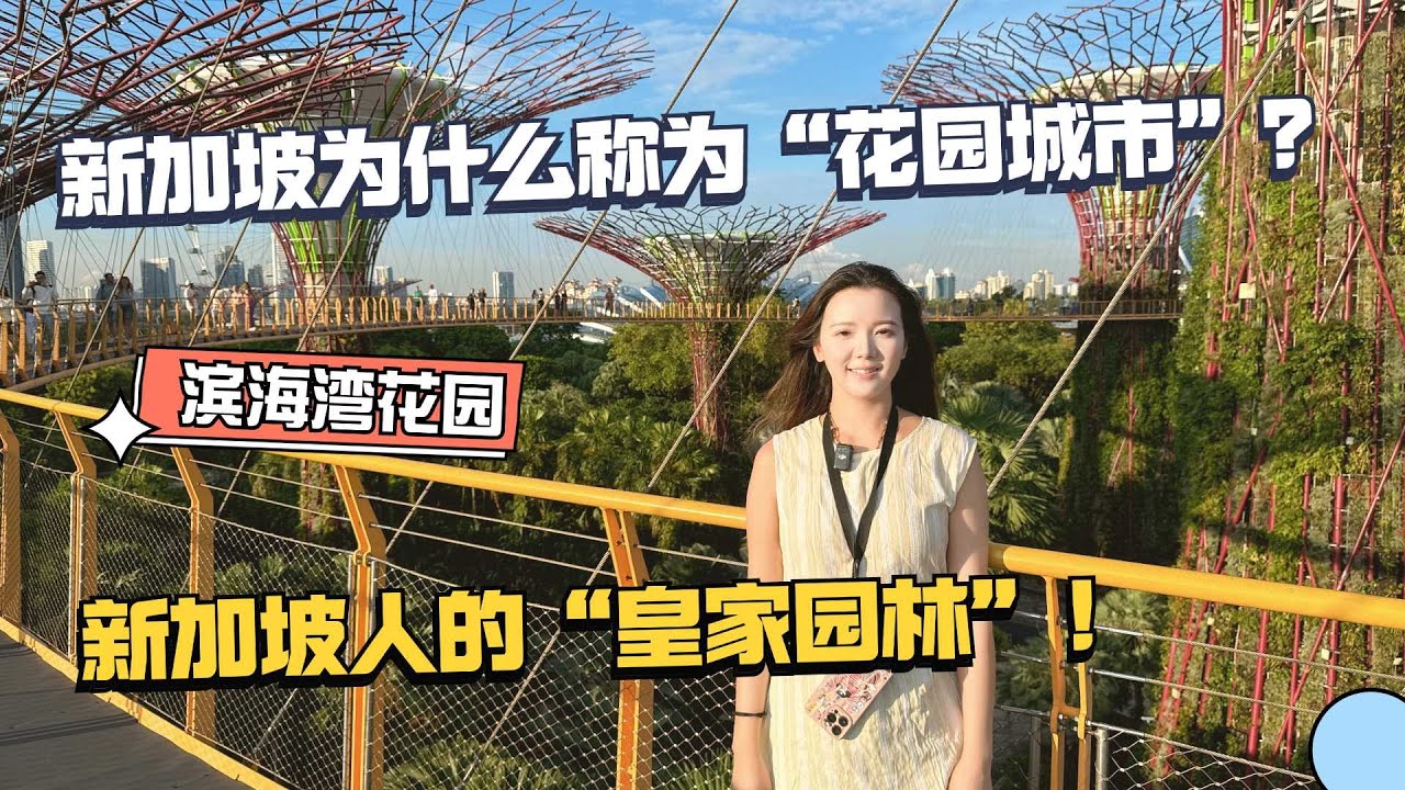 新加坡为什么称为花园城市？看完滨海湾花园，直接把我震惊了！