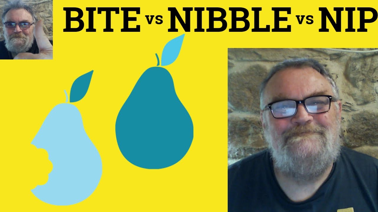 🔵 Bite Nibble or Nip Meaning - Bite vs Nibble vs Nip - The Difference - ESL British Pronunciation
