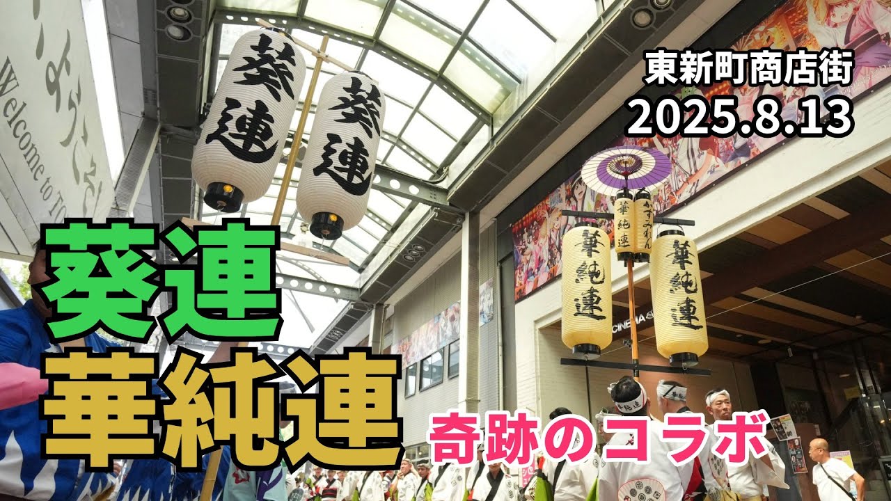 【阿波おどり】葵連×華純連  #阿波おどり