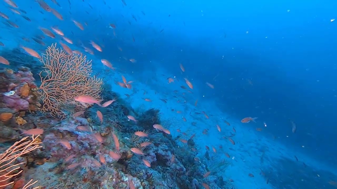 Scuba Diving Antibes Juin 2023