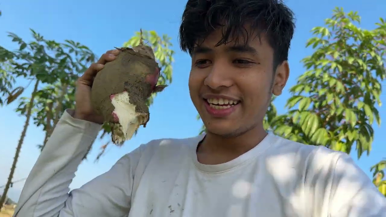Farm Mah Yasto Banayira Khaiyo😍