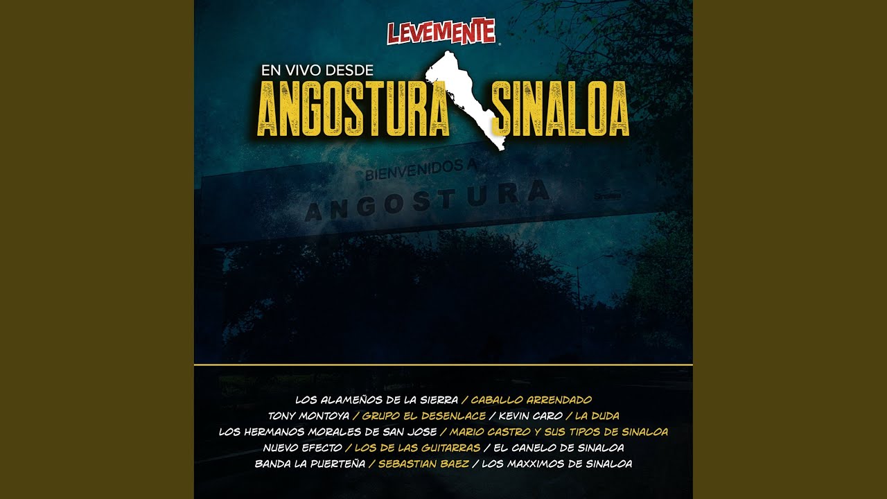 Los Principios (En Vivo)