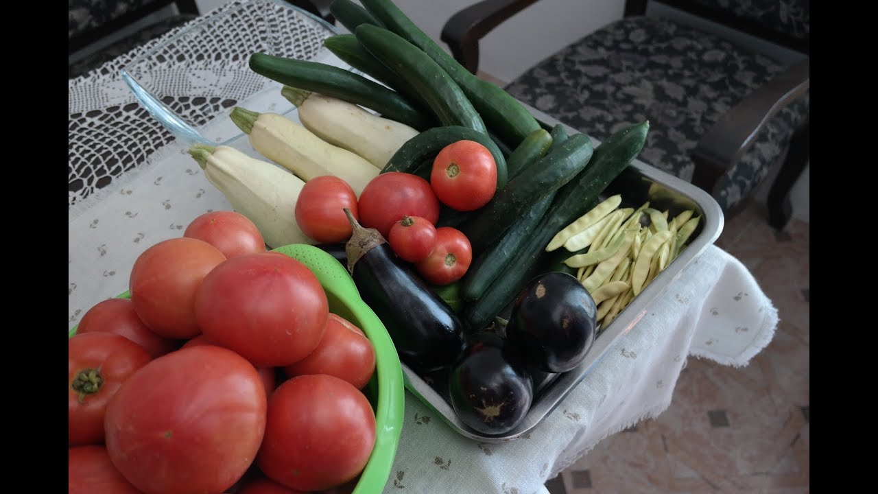 Огород - Подкормка овощей в июле