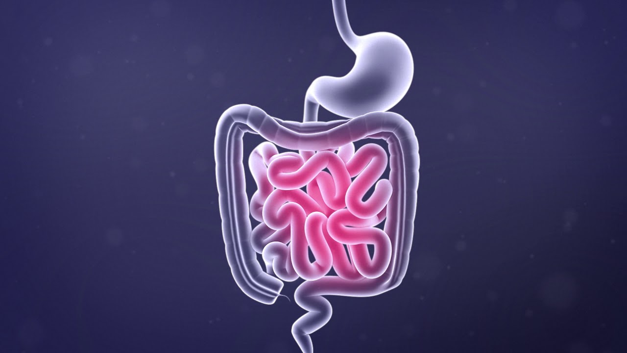 Science Animation - Fatty Acids in the SN2 Position