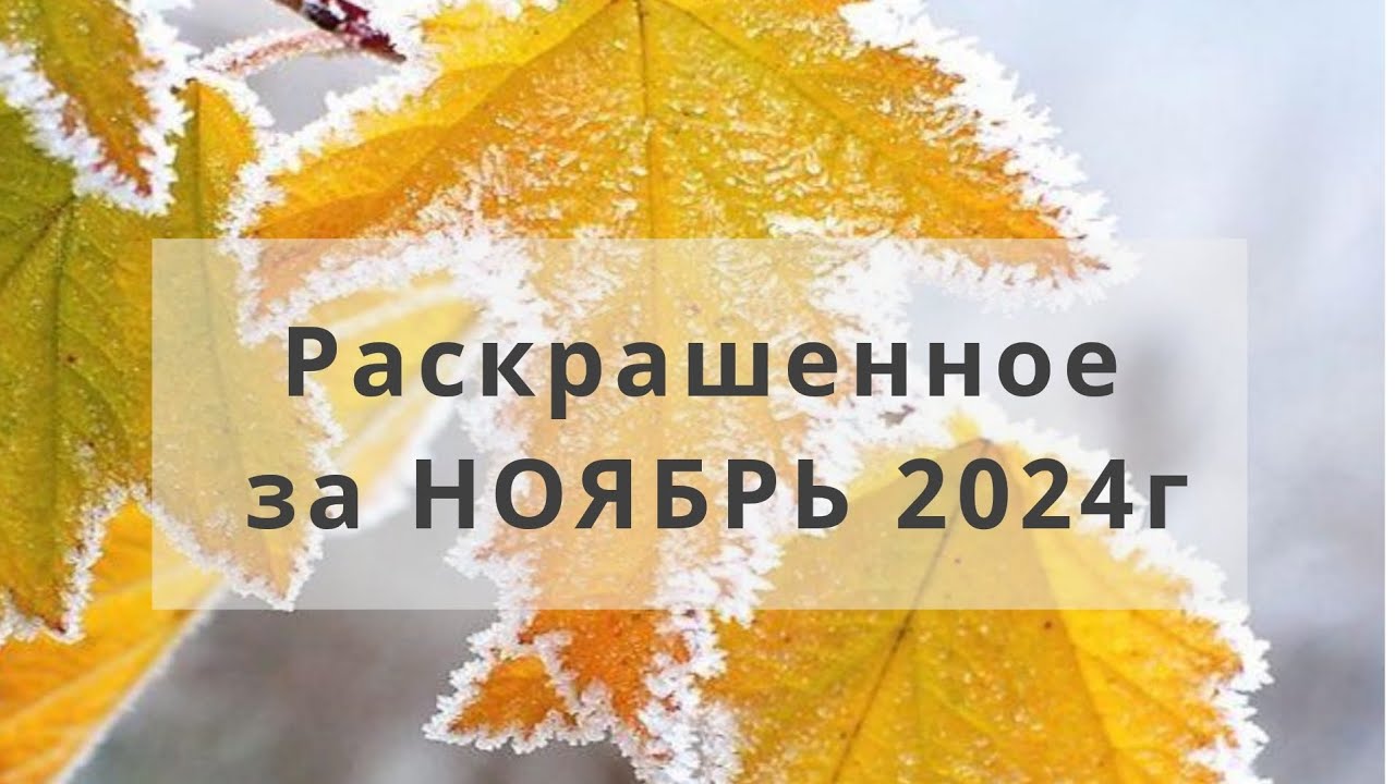 Раскрашенное за НОЯБРЬ 2024г в раскрасках антистресс ❤️