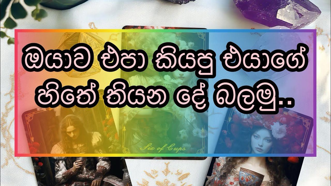 යන්න ගිය කෙනාගේ හිත බලමු|tarrot reading |collective reading 