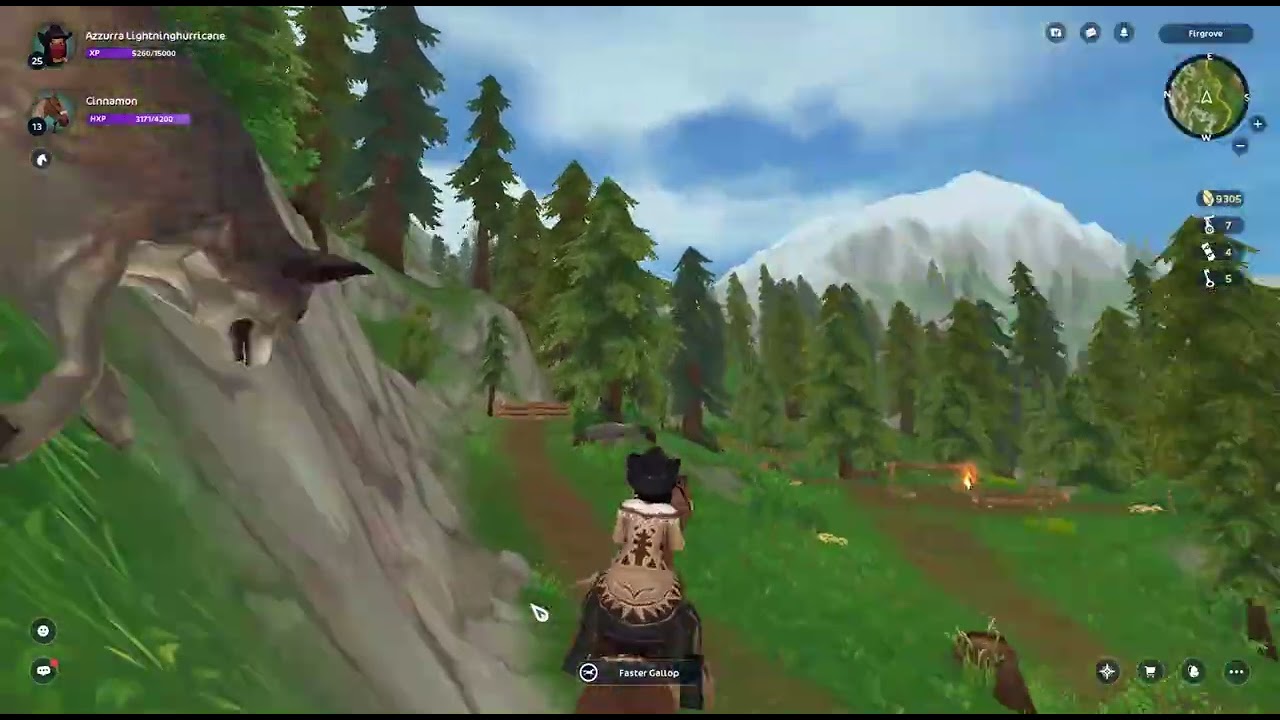 Camp Western Horse Search!