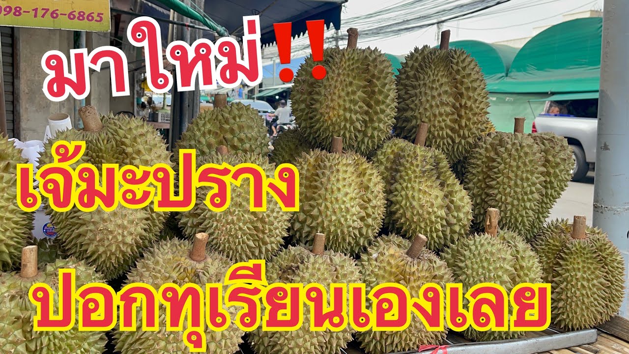 เจ้มะปราง คัดให้ลูกค้าสวยๆทุกคิวเลย📣ปอกเองไปเลย ทุเรียนหมอนทอง ร้านเฮียรักษ์ อาราเบ้ #thailand