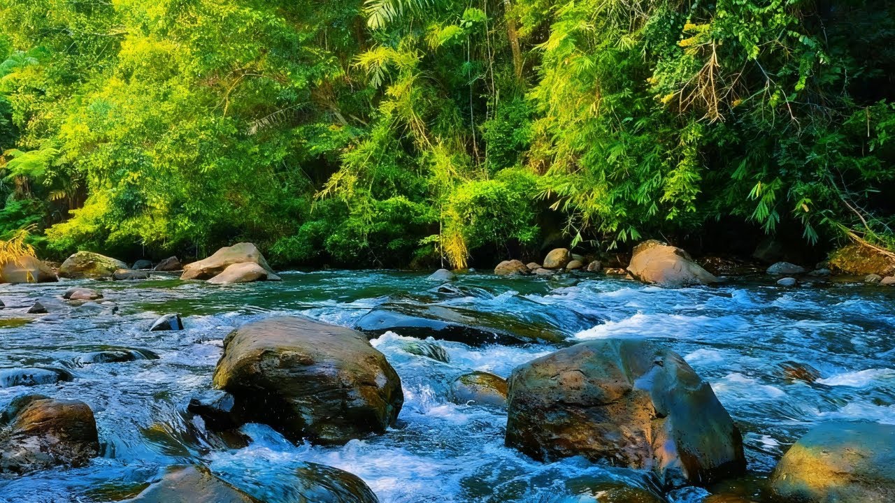 Peaceful Flowing River Sounds | Forest Nature White Noise