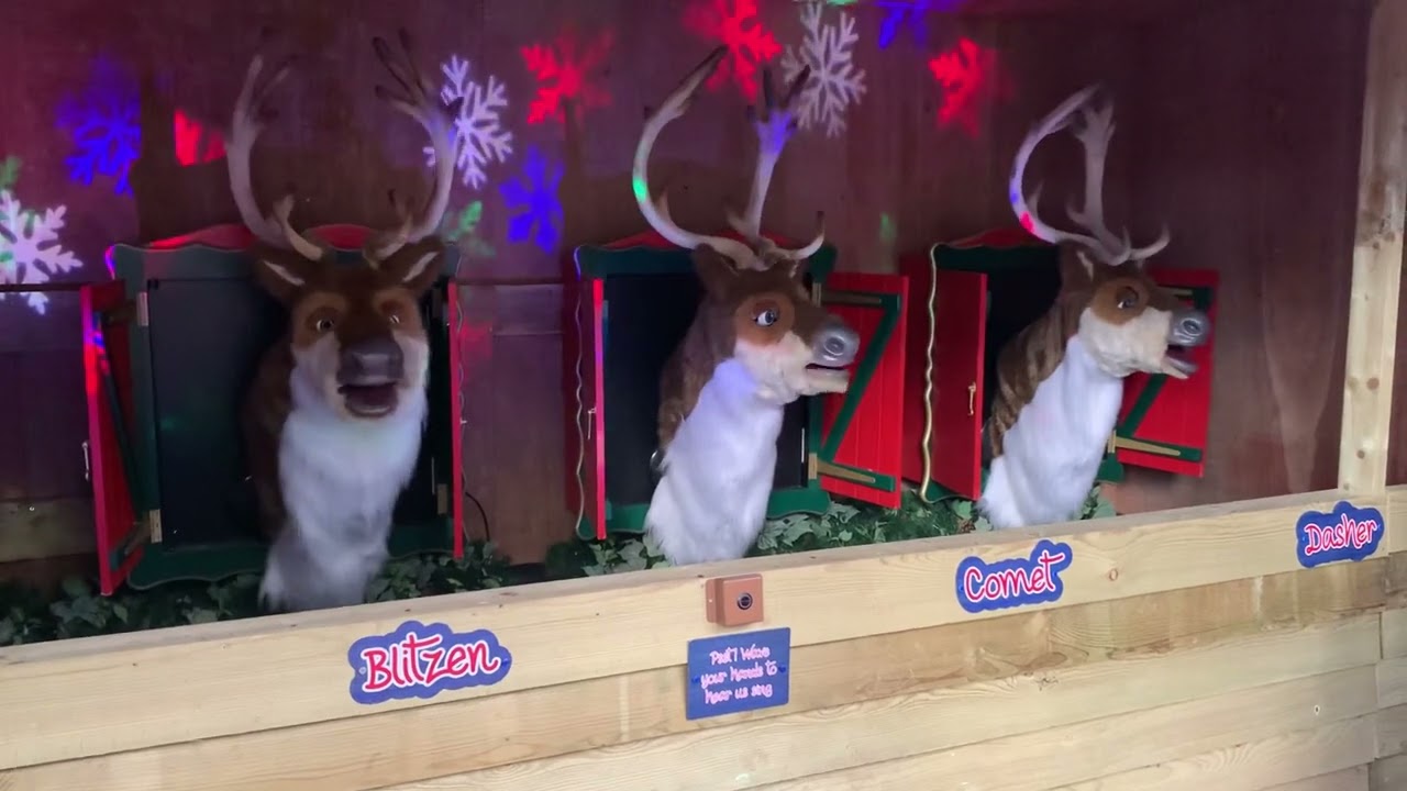 Singing reindeer 2