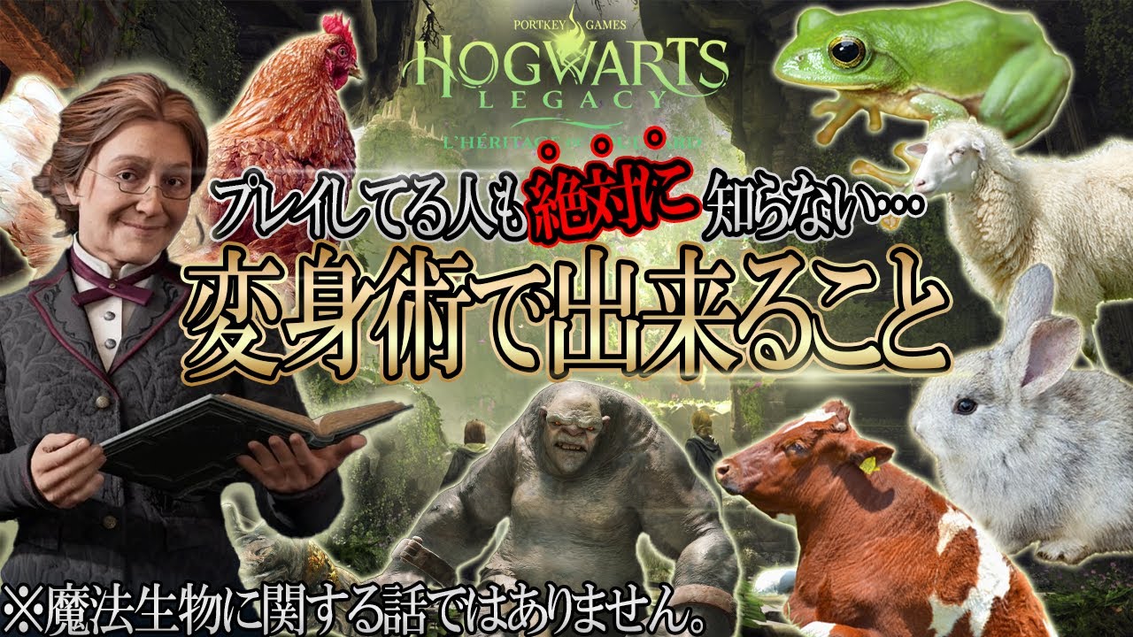 既存プレイヤ―も絶対知らない変身術の真の使い方！まさかの動物で戦闘⁉【ホグワーツレガシー】※魔法生物の話ではありません【攻略】PS4 | switch
