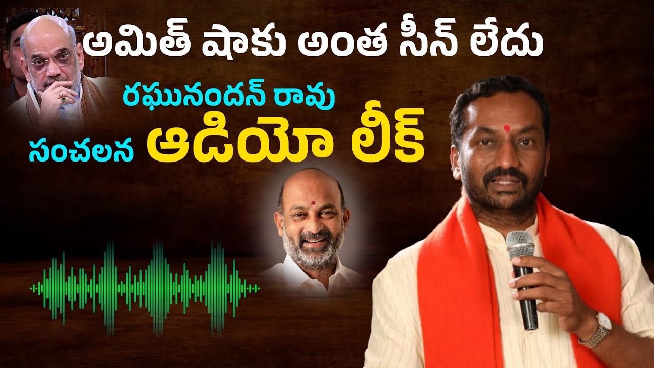BJP MLA Raghunandan Rao SHOCKING Comments On Amit Shah | Raghunandan Rao Audio Leak | Distoday News