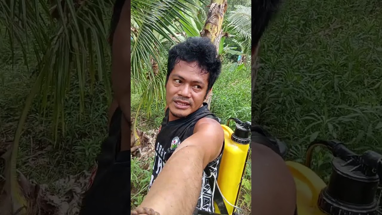 💚💛❤️Sayang 😢
