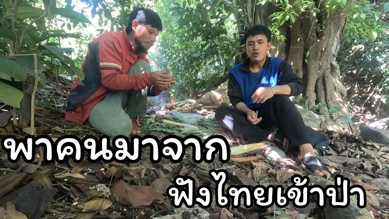 พาคนมาจากฝังไทยเข้าป่ายามกับดัก