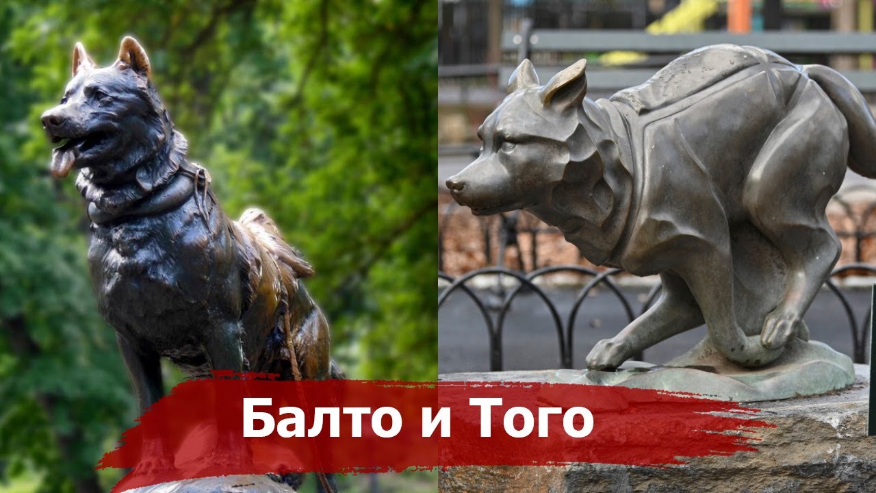 Почему собаки Балто и Того национальные Герои США? | Великая Гонка Милосердия и спасение г. Ном