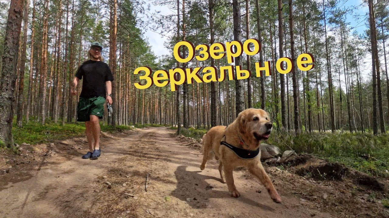 Зеркальное СПА 31.07.24
