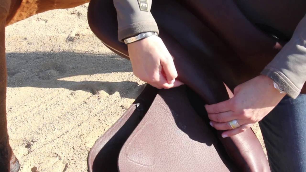 6 Steps to Properly Fitting Amerigo Saddles - Step 3