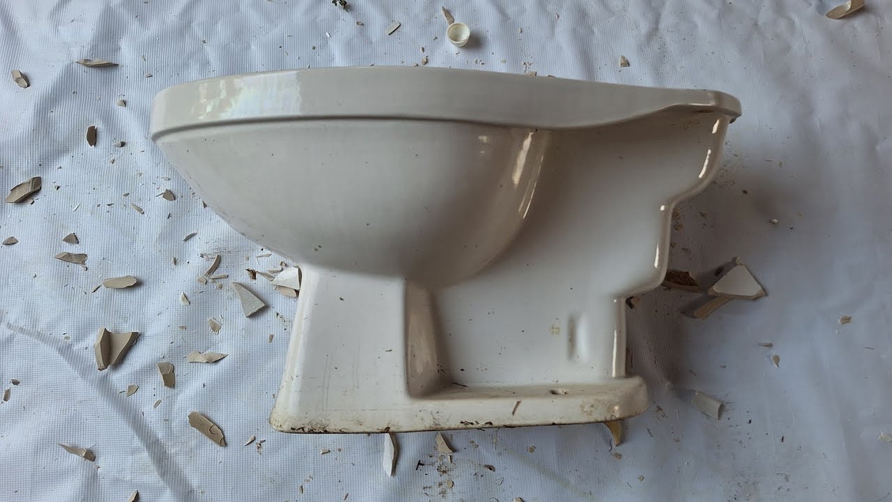 1990 Unknown Peerless Toilet Dissection