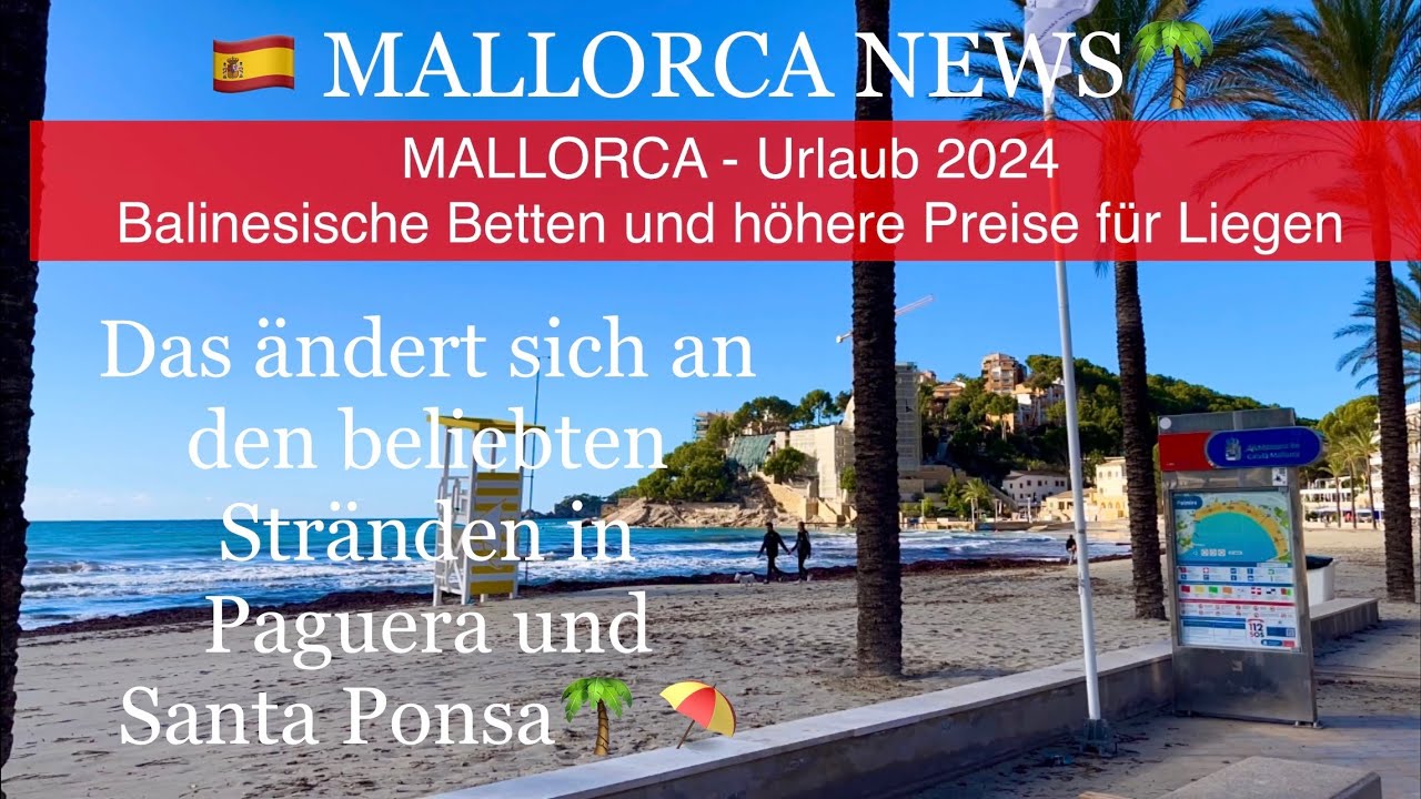 Paguera🌴🏖️MALLORCA island NEWS Was ändert sich?🇪🇸Mallorca Urlaub 2024  #mallorca #travel #video
