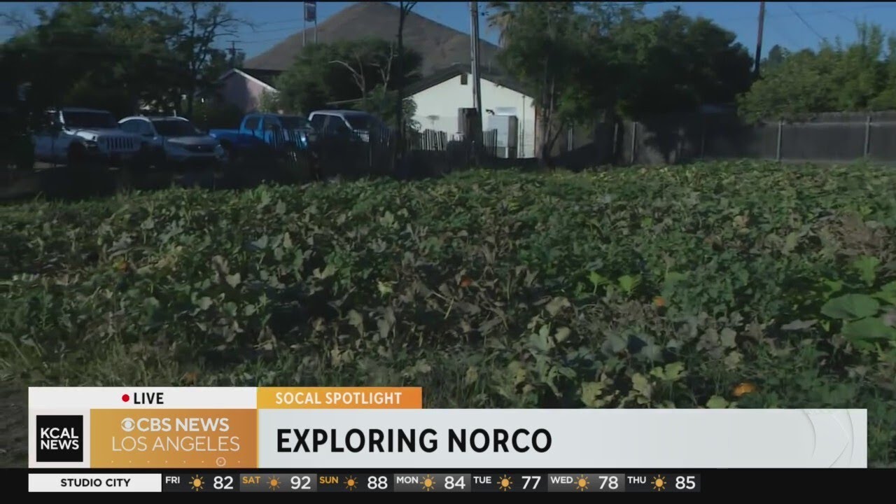 Farm training program in Norco: SoCal Spotlight