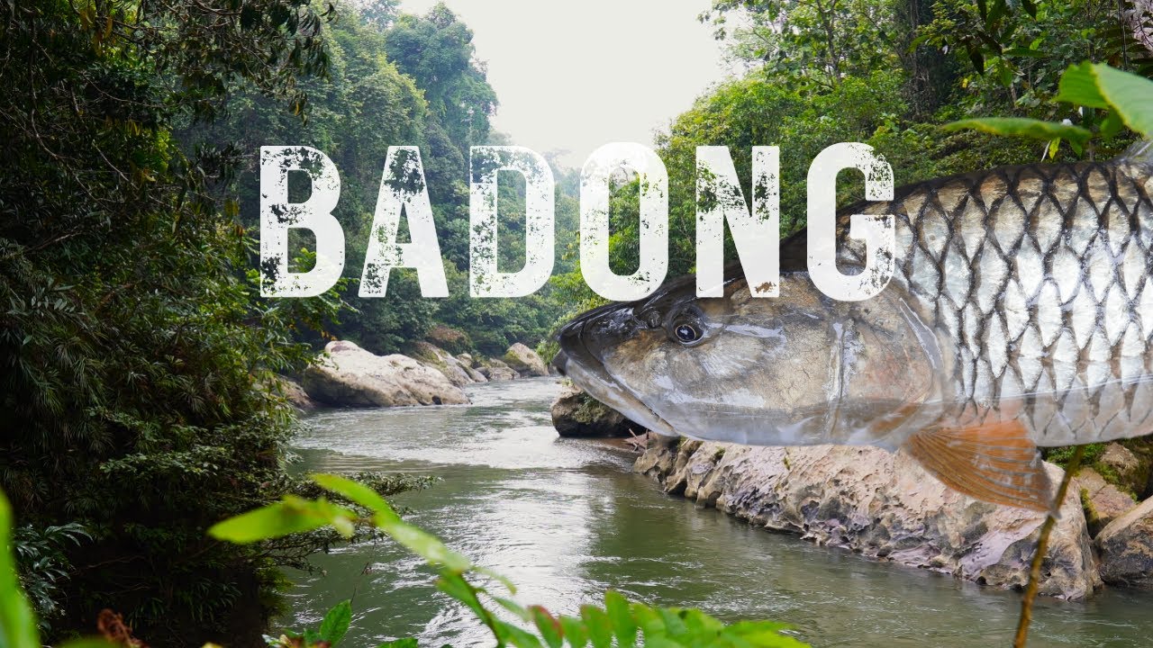 BADONG | Exploring the Wilderness of Borneo