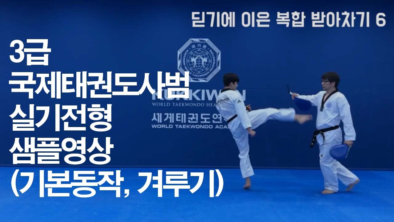 3급 국제태권도사범 실기전형 샘플영상(기본동작, 겨루기)