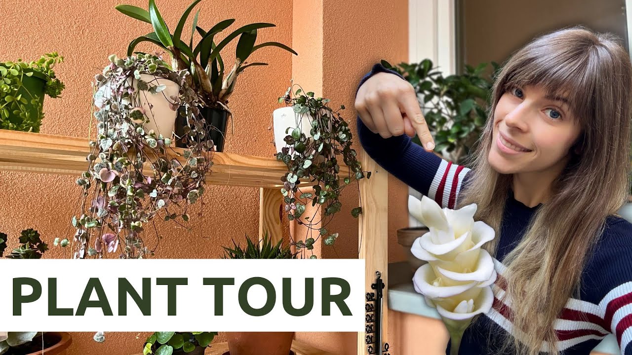 Scopri le mie piante da interno! | PLANT TOUR 2025